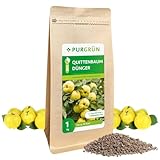 Purgrün® Bio-Quittenbaum-Dünger 1 kg – Organisch-mineralische Rezeptur – Feinkörniges Krümelgranulat – NPK 6+3+8 – Mit Magnesium für aromatische Früchte – Verbessert die Bodenqualität