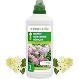 Purgrün® Rispenhortensie-Dünger 1 Liter – Organisch-mineralische Rezeptur – Premium-Flüssigdünger mit Spurennährstoffen – NPK 8+8+6 – Mit Guano & Aqua Plus – Für prächtige Blüten