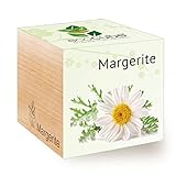 Feel 296398 Green Ecocube Margerite, Nachhaltige Geschenkidee (100% Eco Friendly), Grow Your Own/Anzuchtset, Pflanzen Im Holzwürfel, Made in Austria