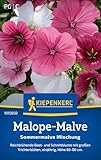 Kiepenkerl Malope-Malvensamen Sommermalve Mischung 1015650 - Einjährige Blumensamen mit einer Wuchshöhe von 60 bis 80cm und Inhalt für 50 Pflanzen - Saatgut
