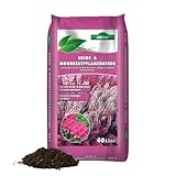 Allflor Heide- und Moorbeetpflanzen-Erde 1 x 40L im Beutel I Für alle Heide- & Moorbeetpflanzen geeignet I Optimal niedriger pH-Wert I Pflanzenerde torfreduziert inklusive Start-Dünger