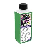 GREEN24 Christrosen Dünger – 250ml Spezialdünger für Helleborus | Fördert üppige Winterblüte & kräftiges Wachstum | Ideal für alle Nieswurz-Arten | NPK - Konzentrat