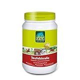 Teufelskralle 1 kg Dose