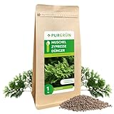 Purgrün® Muschelzypresse-Dünger 1 kg – Organisch-mineralische Rezeptur – Feinkörniges Krümelgranulat – NPK 5+4+6 – Extra Magnesium für leuchtend grüne Nadeln – Verbessert die Bodenqualität