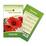 Klatsch-Mohn rot Samen - Papaver rhoeas - Mohnsamen - Blumensamen - Saatgut für 300 Pflanzen