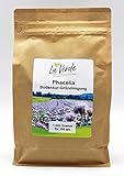 Phacelia 1 Kg Bodenkur/Samen