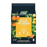 Westland Zitruspflanzen Erde, 8 l – Erde mit Tongranulat für gesunde Zitronenpflanzen, Zitruserde zur optimalen Wasser- und Nährstoffversorgung