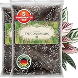 ORAGARDEN Syngonium Erde für Zimmerpflanzen und Garten - 6L Syngonium Substrat für Pflanzen, Palmen, Blumen, Grünpflanzen - 5 Komponenten Blumenerde