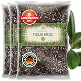 ORAGARDEN Ficus Erde für Zimmerpflanzen und Garten - 9L Ficus Substrat für Pflanzen, Palmen, Blumen - 6 Komponenten Blumenerde