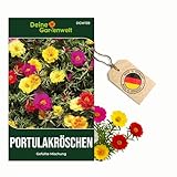 Portulakröschen Gefüllte Mischung Samen - Portulaca grandiflora - Blumensamen - Saatgut für 150 Pflanzen