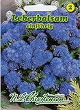 Chrestensen LEBERBALSAM BLAUES MEER 'AGERATUM HOUSTONIANUM'
