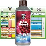 Hesi Boost 500ml – Hochwirksamer Blüte Booster für kräftige Pflanzenblüten – Optimale Nährstoffversorgung – Ideal für alle Pflanzensubstrate – Blüte Dünger für maximales Wachstum