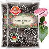 ORAGARDEN Anthurien Erde für Zimmerpflanzen und Garten - 6L Anthurien Substrat für Pflanzen, Palmen, Blumen - 6 Komponenten Blumenerde