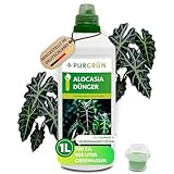 Purgrün® Alocasia-Dünger 1 Liter – Extra Stickstoff für schnelles Wachstum – Spurennährstoffe für intensive Blattfärbung – Ergiebiges Konzentrat für ca. 400 Liter Gießwasser – Profi-Flüssigdünger