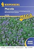 Phacelia, 2 kg, Phacelia tanacetifolia - 1 Foliensack/ 2 kg