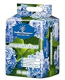 Floragard Endless Summer Hortensienerde blau 20 L
