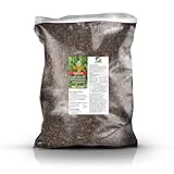 GREEN24 Thuja & Chamaecyparis Erde 10 Liter - Spezial Substrat für Lebensbaum Hecken | Für dichten, grünen Sichtschutz