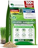 Rasensamen schnellkeimend Frühjahr 0,5kg 20qm - TEST SEHR GUT - Schnell wachsende Rasen Nachsaat Made in Germany - Premium Grassamen schnellkeimend - Rasensaat für sattgrünen Traumrasen