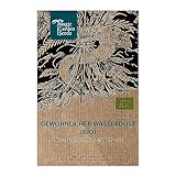 Gewöhnlicher Wasserdost (Eupatorium cannabinum) Bio - ca. 700 Samen