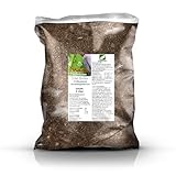 GREEN24 Bananenerde Strelitzien Erde - 5 Ltr. Profi Linie Substrat zum Einpflanzen, Umpflanzen, Umtopfen, Auspflanzen