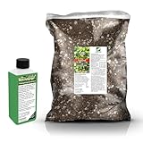 Umtopf - Set für Buchsbaum & kleine Ilex (Buxus & Ilex) - bestehend aus 10 Liter Spezial - Substrat und darauf abgestimmten Flüssigdünger NPK Volldünger (für Buchsbaum)