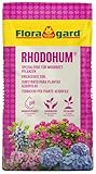 Floragard Rhodohum Rhododendronerde 60 L – pH-saure Moorbeeterde mit guter Wasserspeicherung – ideal zum Pflanzen von Rhododendren, Azaleen, Blaubeeren & Anderen Moorbeetpflanzen im Garten