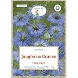 Grüne Fee - Jungfer im Grünen Miss Jekyll Samen - 13340