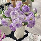 lisianthussamen - blumenwiese mehrjährig, herbst deko lisianthus eustoma balkonpflanzen winterhart, blumenbeet schattenpflanzen seltene 600pcs