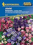 Kiepenkerl 4017 Akelei Biedermeier, Traditions-Beetpflanze in einer bunten Farbmischung, zum Schnitt sehr gut geeignet, mehrjährig